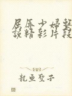 屈辱少妇系列小说精彩片段