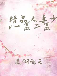 精品人妻少妇av一区二区