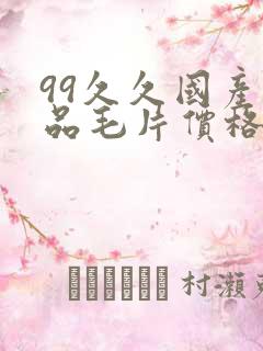 99久久国产精品毛片价格