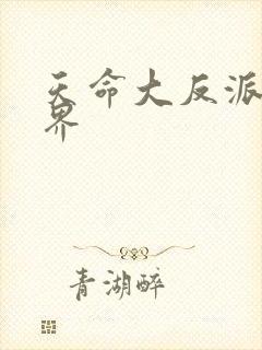 天命大反派 境界