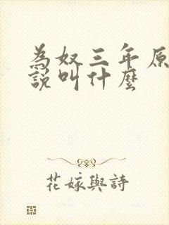 为奴三年原著小说叫什么