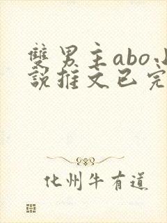 双男主abo小说推文已完结