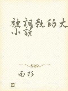 被调教的大小姐小说