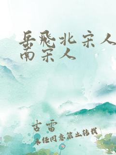 岳飞北宋人还是南宋人