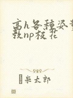 高h各种姿势调教np校花