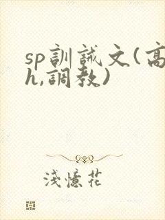 sp训诫文(高h,调教)