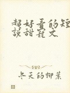 超好看的短篇小说甜宠文