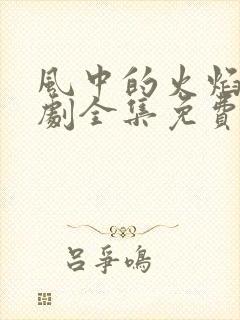 风中的火焰电视剧全集免费观看