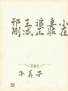 邪王追妻小说无删减正版在线阅读