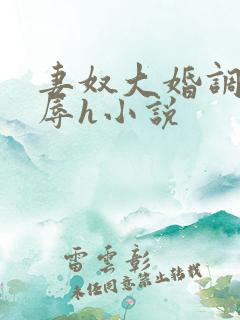 妻奴大婚调教屈辱h小说