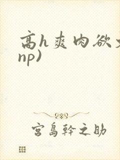 高h爽肉欲文(np)