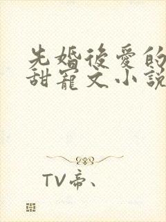 先婚后爱的古言甜宠文小说