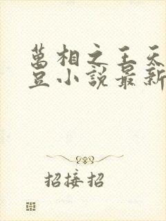 万相之王天蚕土豆小说最新章节