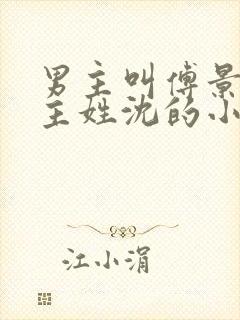 男主叫傅景琛女主姓沈的小说