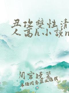 丑攻双性清冷美人高h小说np