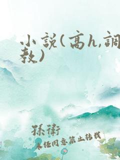 小说(高h,调教)