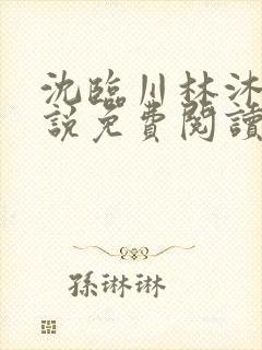 沈临川林沐雪小说免费阅读最新章节