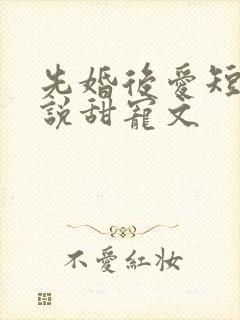 先婚后爱短篇小说甜宠文