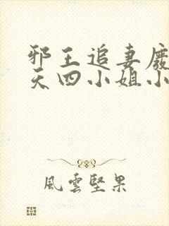 邪王追妻废材逆天四小姐小说下载