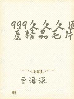 999久久久国产精品毛片