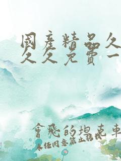 国产精品久久久久久免费一级