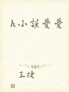 h小说爱爱