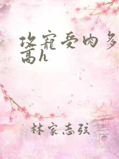 攻宠受肉多荤文高h