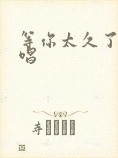 等你太久了呀原唱