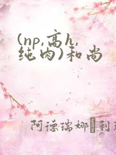 (np,高h,纯肉)和尚