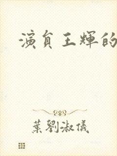 演员王辉的简介