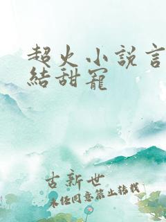 超火小说言情完结甜宠