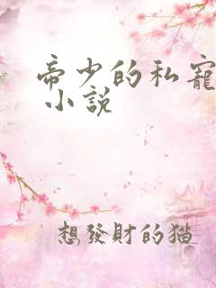 帝少的私宠甜妻 小说