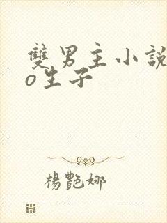 双男主小说abo生子