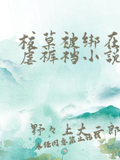 校草被绑在床上虐裤裆小说