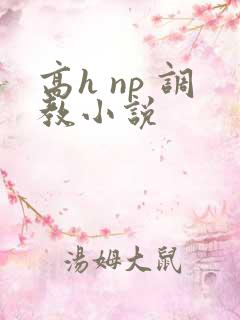 高h np 调教小说