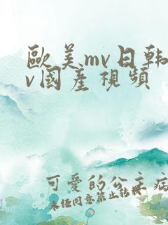 欧美mv日韩mv国产视频