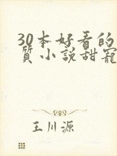 30本好看的肉质小说甜宠文