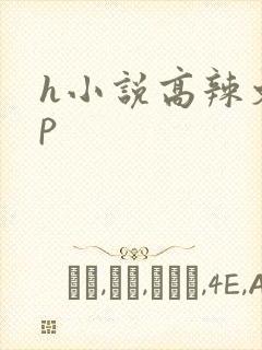 h小说高辣文np