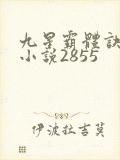 九星霸体诀有声小说2855