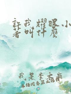 许我耀眼小说原著叫什么