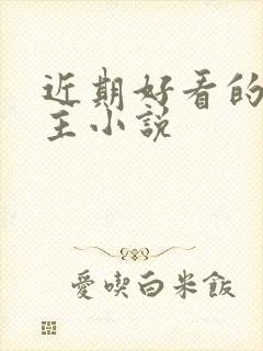 近期好看的双男主小说