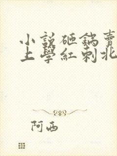 小说砸锅卖铁去上学红刺北最新章节阅