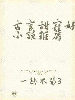 古言甜宠好看的小说推荐