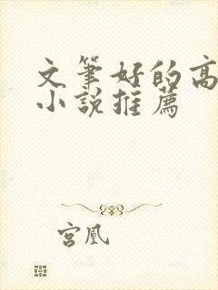 文笔好的高质量小说推荐