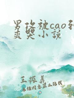 男攻被cao到爽哭小说