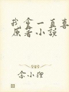 我会一直喜欢你原著小说