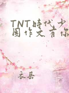 TNT时代少年团作文有你真好