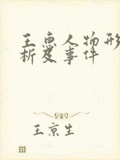 王惠人物形象分析及事件