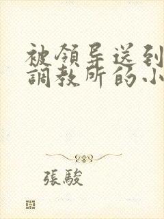 被领导送到私奴调教所的小说