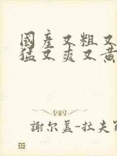 国产又粗又tⅴ猛又爽又黄的视频